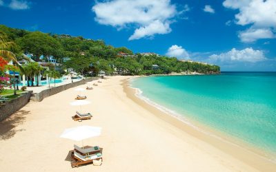 How to become a wedding travel agent