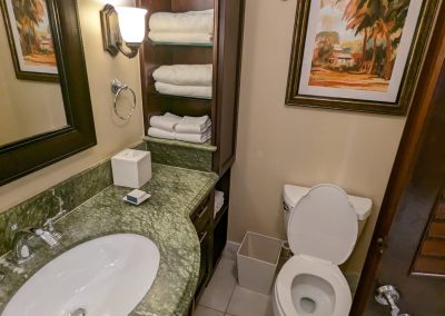 main bathroom area